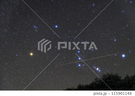 秋の星空 昇るオリオン座と流れ星 秋の星空 昇るオリオン座と流れ星 115901148
