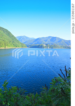 赤谷湖　景観スポット　猿ヶ京　新緑の季節　 115901167