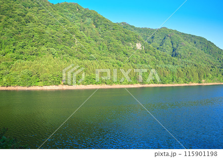 赤谷湖　景観スポット　猿ヶ京　新緑の季節　 115901198