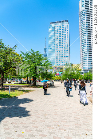 【東京都】爽やかな新緑が綺麗な錦糸公園とスカイツリー 115901358