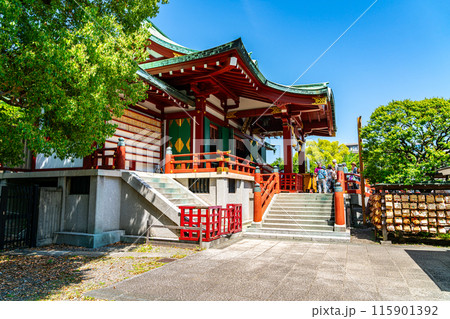 【東京都】初夏の新緑が綺麗な亀戸天神 【東京都】初夏の新緑が綺麗な亀戸天神 115901392