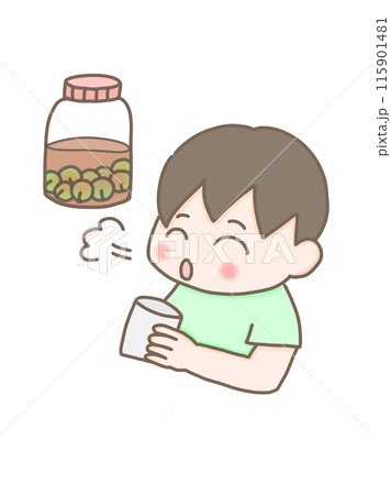 手作り梅酒・梅シロップ 115901481