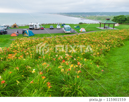 「北海道」みさき台公園の風景 「北海道」みさき台公園の風景 115901559