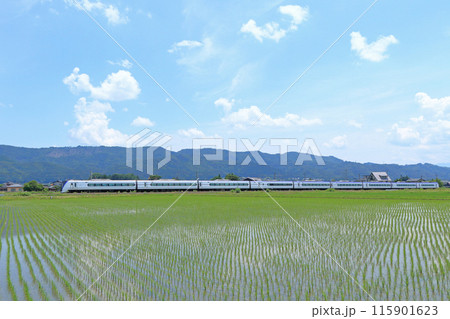 大糸線 初夏の特急あずさ 大糸線 初夏の特急あずさ 115901623