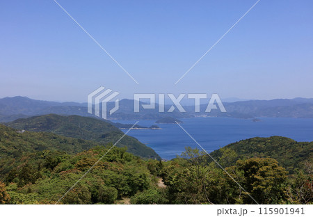 佐田岬半島のせと風の丘パークから宇和海、八幡浜方向を見る 115901941