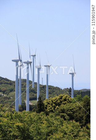 佐田岬半島の風車群(せと風の丘パークから西、佐田岬風力発電所を見る) 佐田岬半島の風車群(せと風の丘パークから西、佐田岬風力発電所を見る) 115901947