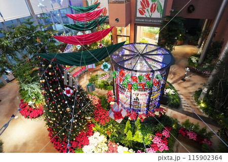 富山県砺波市チューリップ四季彩館4 富山県砺波市チューリップ四季彩館4 115902364