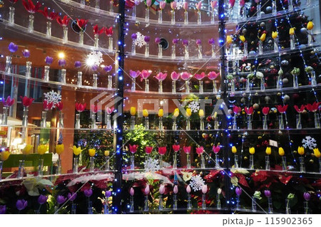 富山県砺波市チューリップ四季彩館5 115902365