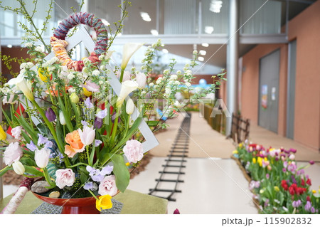 砺波市チューリップ四季彩館　春を呼ぶチューリップ展2 115902832