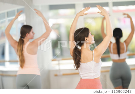 Rear view of young girl practicing ballet postures in studio Rear view of young girl practicing ballet postures in studio 115903242