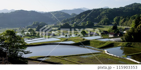 農村風景春　三河内の棚田　水田　バナー　つなぐ棚田遺産　夢街道ルネサンス 115903353