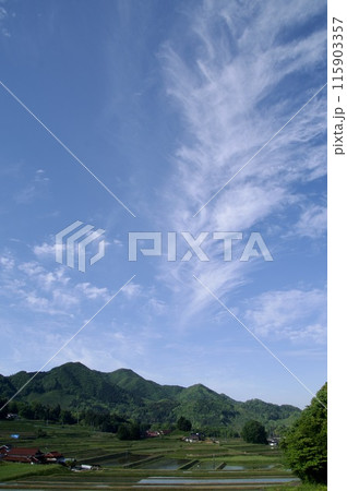 農村風景春　三河内の棚田　水田　バナー　つなぐ棚田遺産　夢街道ルネサンス 115903357