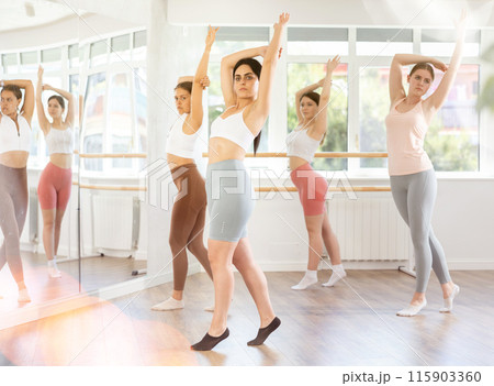 Young girl practicing basic ballet movements at group class Young girl practicing basic ballet movements at group class 115903360