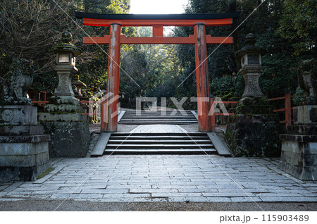 二之鳥居　春日大社 115903489