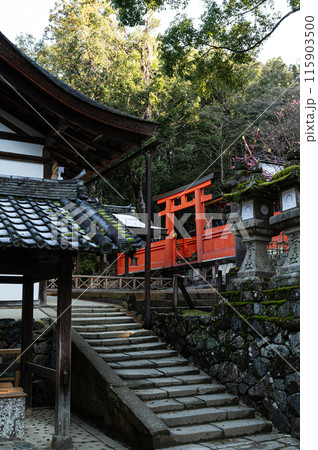 若宮　春日大社 115903500