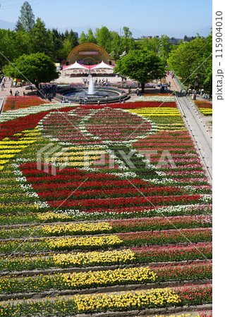 富山県砺波市チューリップフェア4 115904010