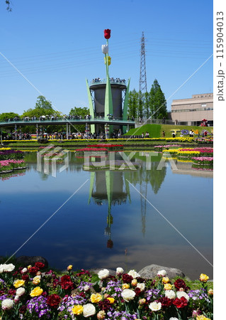 富山県砺波市チューリップフェア7 115904013