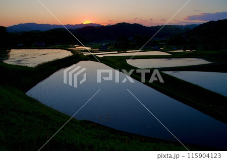 水田風景　棚田夕景　夕焼け　三河内の棚田　水田　つなぐ棚田遺産　夢街道ルネサンス 115904123