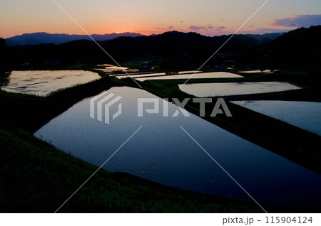 水田風景 棚田夕景 夕焼け 三河内の棚田 水田 つなぐ棚田遺産 夢街道ルネサンス 水田風景 棚田夕景 夕焼け 三河内の棚田 水田 つなぐ棚田遺産 夢街道ルネサンス 115904124