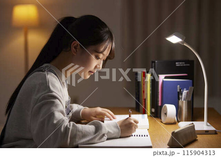 自室にて受験勉強をする女子高生 115904313