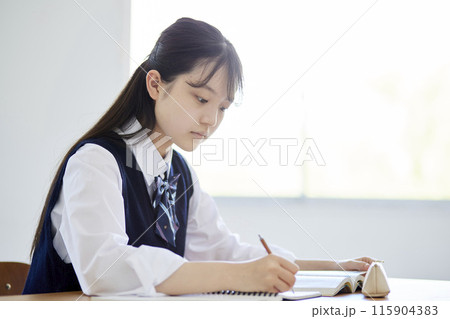 学校の教室で授業を受ける女子高生 学校の教室で授業を受ける女子高生 115904383