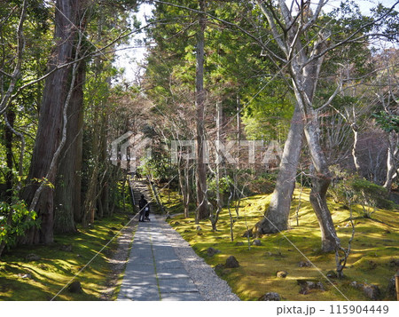 日本三景、松島の観光スポットのひとつ、日本庭園が美しい円通院の風景 115904449