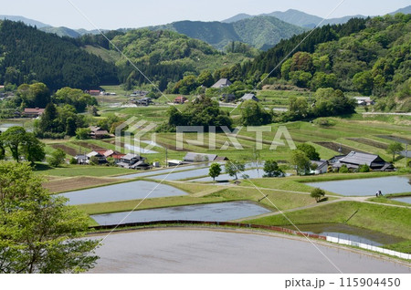 農村風景春 三河内の棚田 水田 つなぐ棚田遺産 夢街道ルネサンス 農村風景春 三河内の棚田 水田 つなぐ棚田遺産 夢街道ルネサンス 115904450