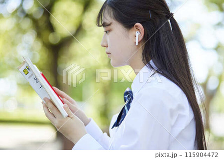 参考書で勉強をする女子高生 115904472