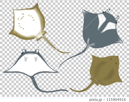 設定黃貂魚的插圖 115904918