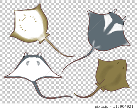 エイのセットイラスト 115904921