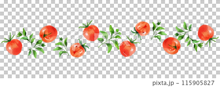 並んだミニトマトの水彩イラストセット Generative AI 115905827