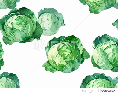 水彩で描いたキャベツのイラスト Generative AI 115905832