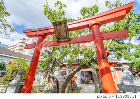 湊稲荷神社　回る願懸け狛犬　願懸け高麗犬　男は右　女は左　願意を心に念じながら回し諸願成就を祈願 115909511