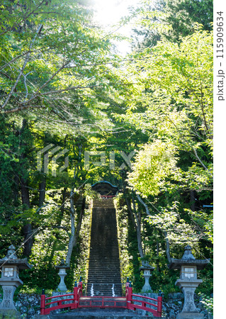 飛騨東照宮の風景｜観光名所｜6月撮影｜岐阜県高山市 115909634
