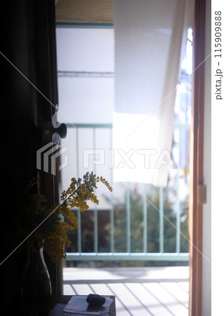 風景 115909888