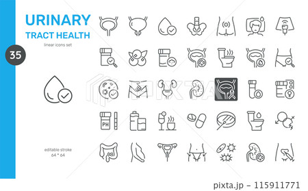 Urinary Tract Health Vector Icons Set. Urinary System Anatomy, Health, Diagnosis, Treatment, and Preventative Care. Editable Linear Symbols Collection on White Background. 115911771