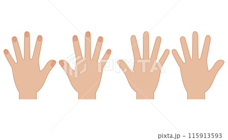 手の平と甲のシンプルイラストセット 115913593