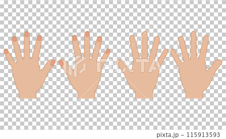 手の平と甲のシンプルイラストセット 115913593