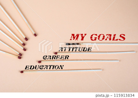MY GOALS Concept. Matches on a light background 115913834