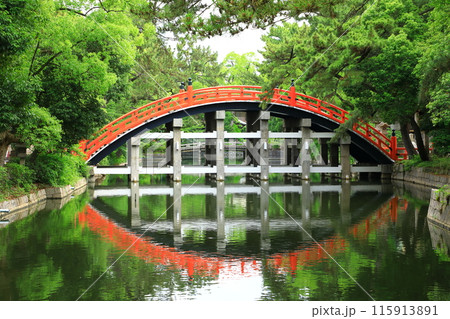 住吉大社　反橋 115913891