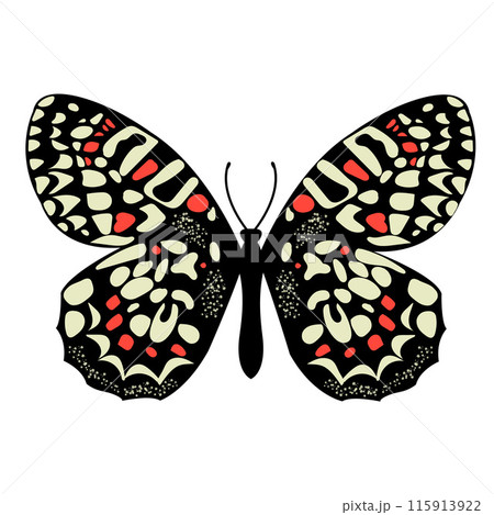 Black and White Butterfly with Red Spots on White Background. Moth and Butterfly Colorful Silhouette Art. Abstract Nature Design for Summer Wedding Decor. . Vector illustration 115913922