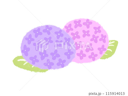 紫陽花 紫陽花 115914013