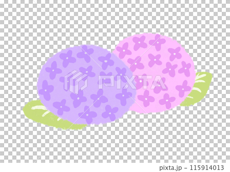 紫陽花 紫陽花 115914013