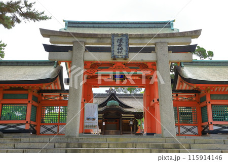 住吉大社　参道と鳥居 115914146