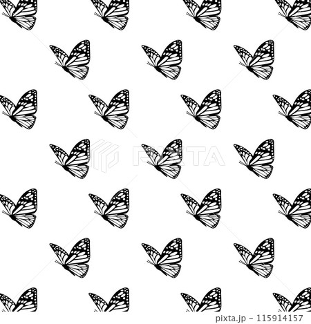 Pattern of Black and White Butterflies on White Background. Monochrome Minimalistic Flight. Lepidoptera Botanical Harmony. Wedding Decor. Ethereal Wings Overlay. Vector illustration Pattern of Black and White Butterflies on White Background. Monochrome Minimalistic Flight. Lepidoptera Botanical Harmony. Wedding Decor. Ethereal Wings Overlay. Vector illustration 115914157