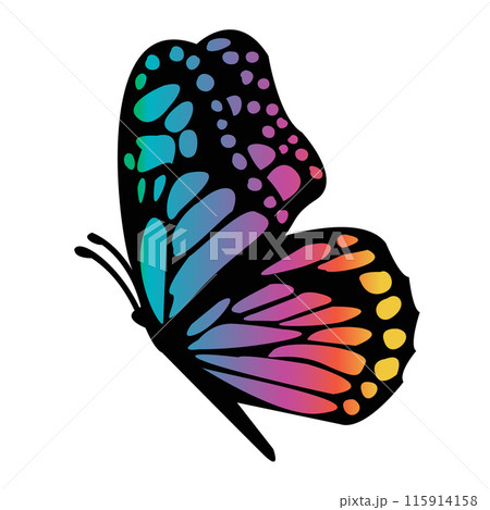 A beautiful butterfly with rainbow colors is...のイラスト素材  