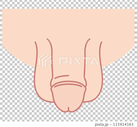 男性生殖器　医療 115914163