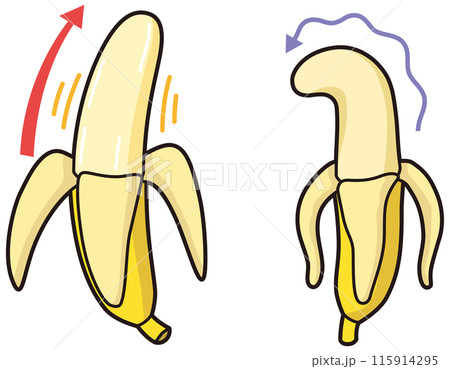 男性器をイメージしたバナナ　元気なバナナと萎れたバナナ 115914295