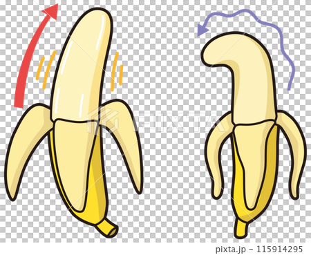 男性器をイメージしたバナナ　元気なバナナと萎れたバナナ 115914295