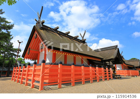 住吉大社 国宝「住吉造」本殿 住吉大社 国宝「住吉造」本殿 115914536